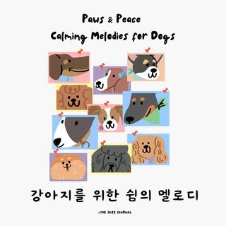 Paws & Peace: Calming Melodies for Dogs