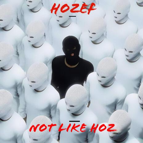 Not Like Hoz | Boomplay Music