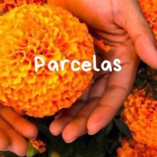 Parcelas