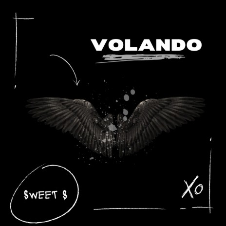 Volando | Boomplay Music