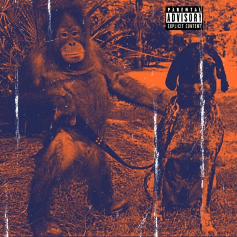 Big Ape | Boomplay Music