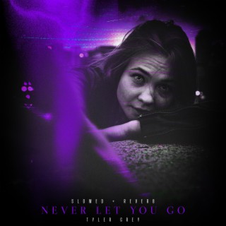 Never Let You Go (Slowed + Reverb) lyrics | Boomplay Music