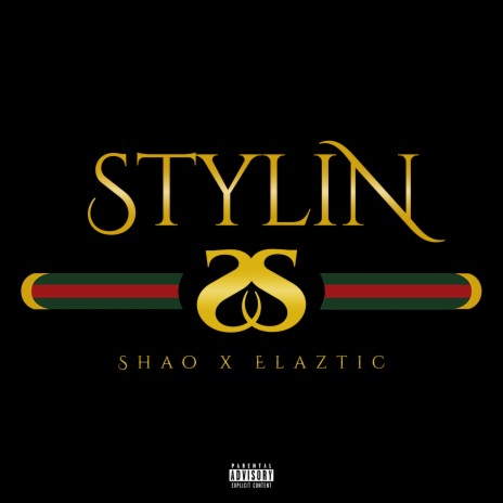 Stylin ft. Elaztic | Boomplay Music