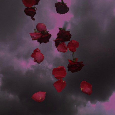 Rose Petals | Boomplay Music