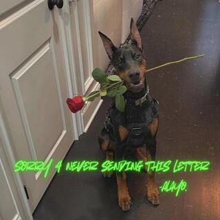 Sorry 4 Never Sending This Letter lyrics | Boomplay Music