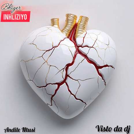 Inhliziyo ft. Andile Ntusi & visto Da Dj | Boomplay Music