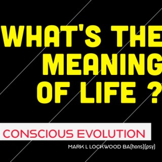 What is the Meaning of Life, Essence and South Africa’s awakening