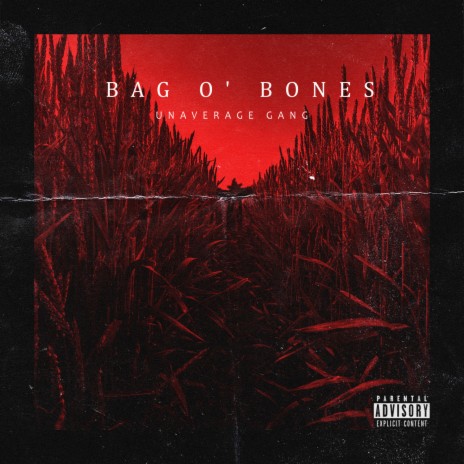 Bag O’ bones | Boomplay Music