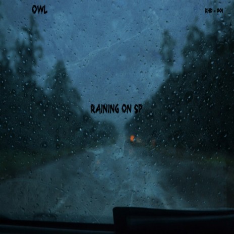 Raining On SP | Boomplay Music