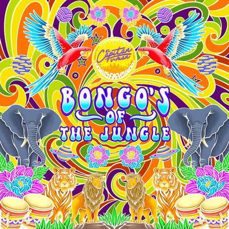 Bongo's of the Jungle