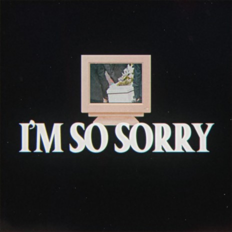 I'M SO SORRY | Boomplay Music