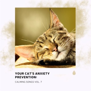 Your Cat's Anxiety Prevention: Calming Songs Vol. 7