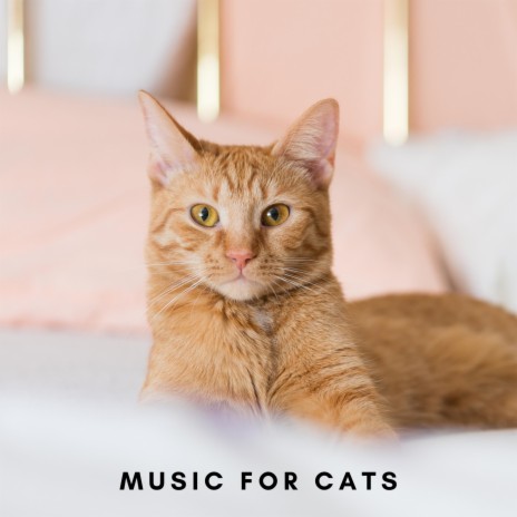 Spa Music For Cats