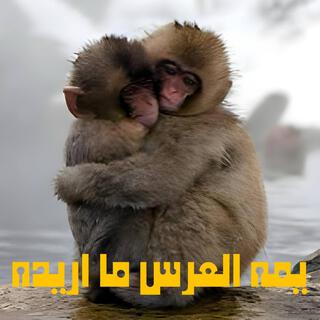 يمه العرس ما ريده موال