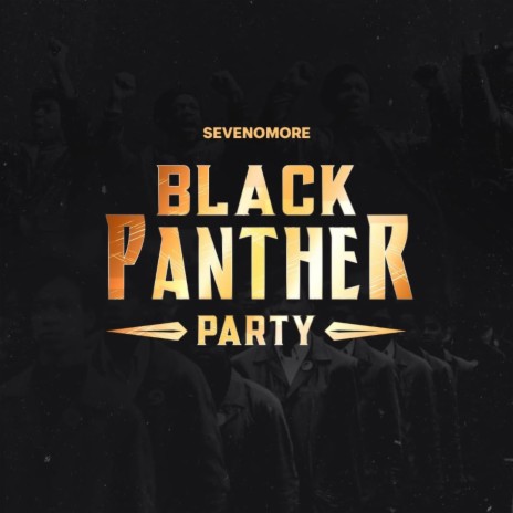 Black Panther Party | Boomplay Music