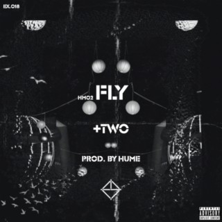 FLY lyrics | Boomplay Music