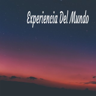 Experiencia Del Mundo