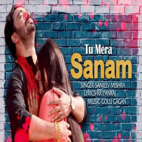 Tu Mera Sanam | Boomplay Music