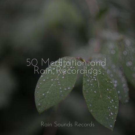 Misty Chorus Echoes ft. Calming Sounds & Yoga Music | Boomplay Music