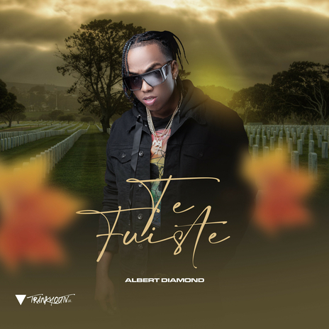 Te Fuiste | Boomplay Music