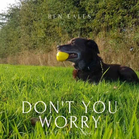 Don't You Worry (Patch's Song) | Boomplay Music