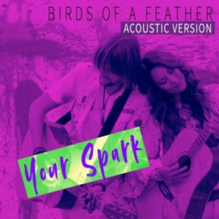 Your Spark (Acoustic Version)