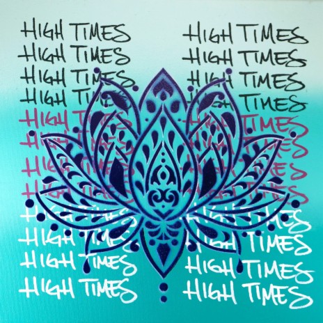High Times ft. Shwayze & Surfer Girl | Boomplay Music