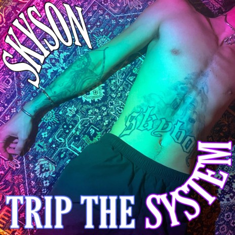TRIP THE SYSTEM | Boomplay Music