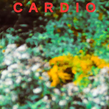 Cardio