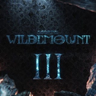 Scoring Wildemount, Vol. III