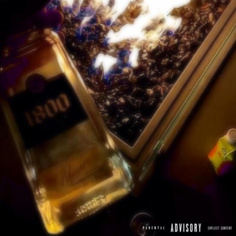 1800 Freestyle | Boomplay Music
