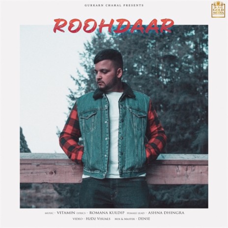 Roohdaar | Boomplay Music