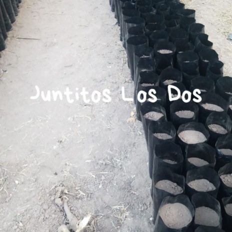 Juntitos Los Dos | Boomplay Music