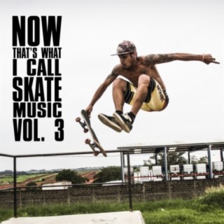 Now That's What I Call Skate Music Vol. 3