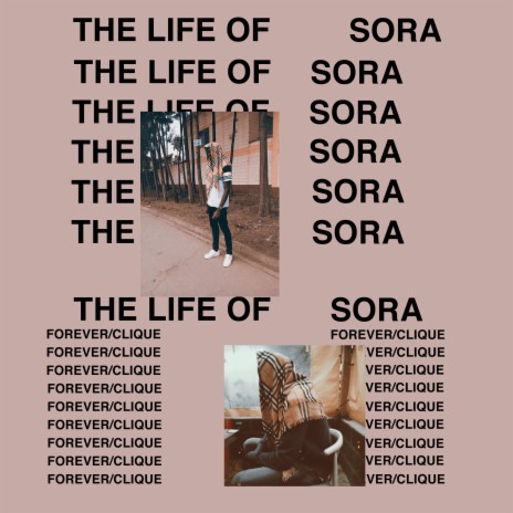The Life Of Sora | Boomplay Music