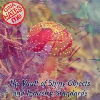 The Vault of Shiny Objects and Industry Standards