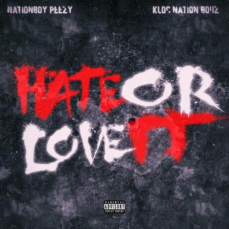 Hate or Love It | Boomplay Music