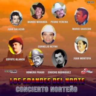 Concierto Norteño, Los Grandes Del Norte