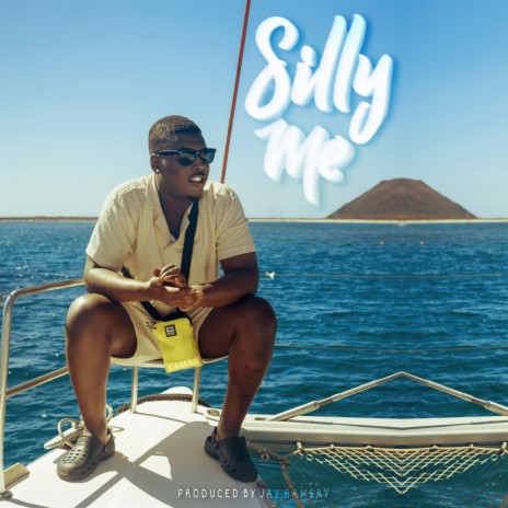 Silly Me | Boomplay Music