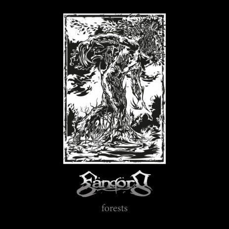 Forests | Boomplay Music