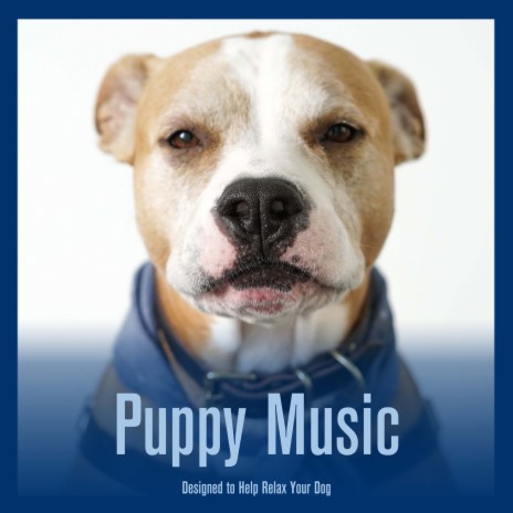 Dog music dreams & relaxmydog calm my sales dog