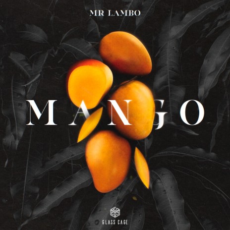 Mr Lambo - Mango MP3 Download & Lyrics | Boomplay
