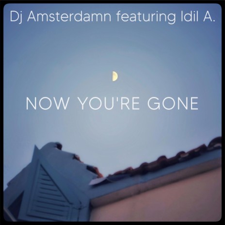 Now you're gone ft. Idil A. | Boomplay Music
