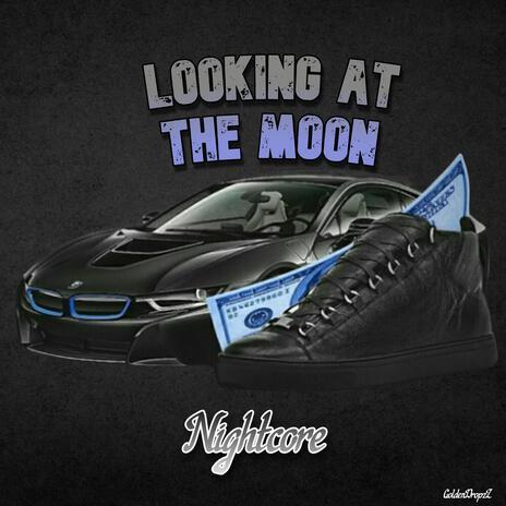 Looking At The Moon | Boomplay Music