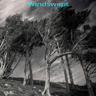 Windswept