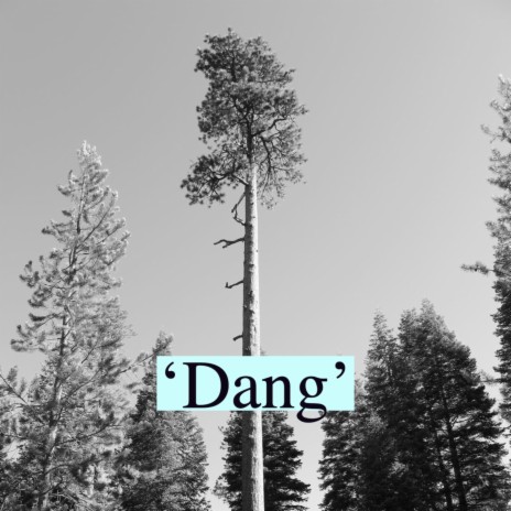 Dang | Boomplay Music