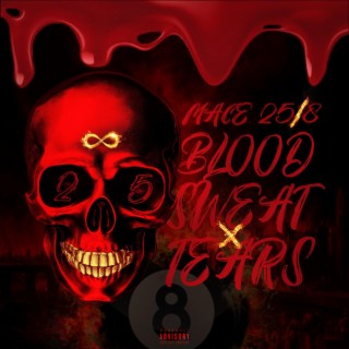 BLOOD SWEAT N' TEARS