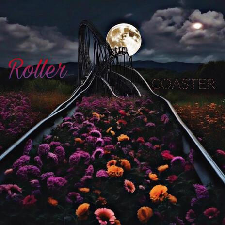 Roller Coaster (Radio Edit) | Boomplay Music