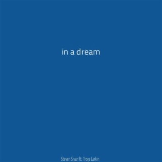 In a Dream (feat. Troye Larkin)