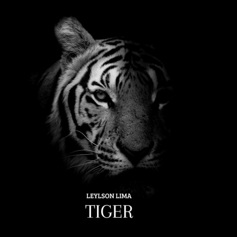 Tiger | Boomplay Music